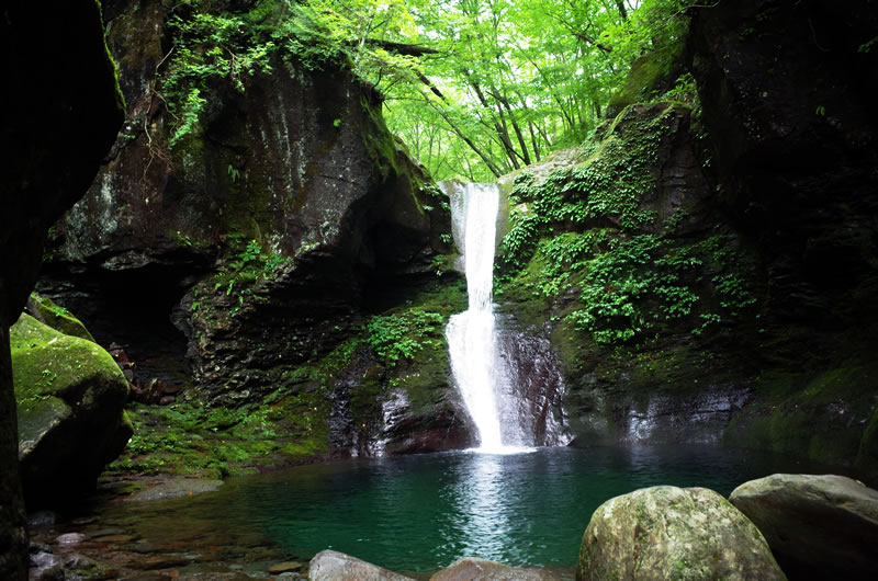 神秘的で厳かなおしらじの滝