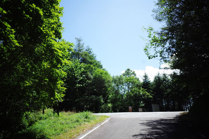 木賊峠に到着。看板などの目印は特になし