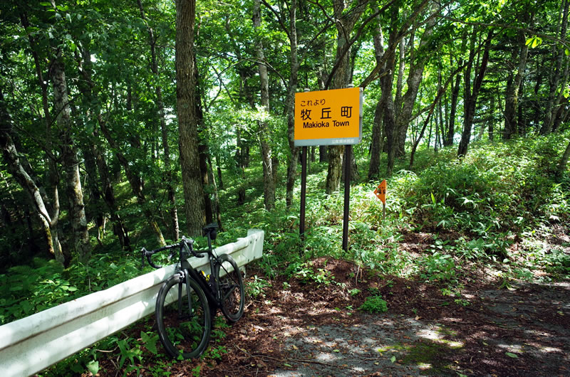 乙女高原手前の名無し峠