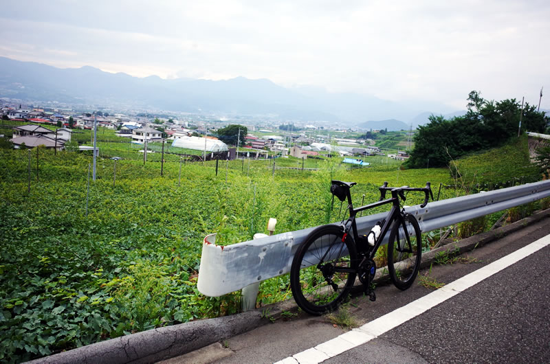 笹子峠は良い峠だぞう(ﾟ∀ﾟ)！