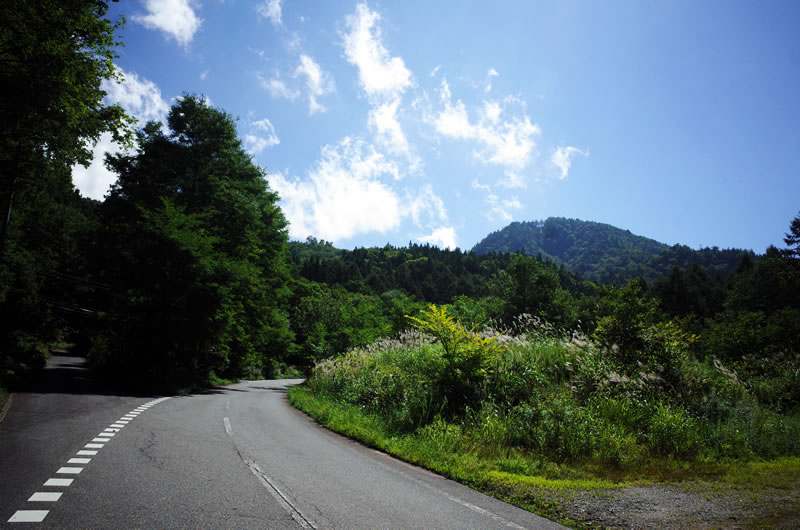 「奥利根湯けむり街道」の斜度はなかなか