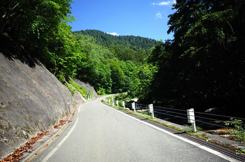 水量豊富な川が並行していて、秋の紅葉はキレイっぽい