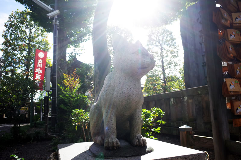 猫返し神社の狛猫を発見！