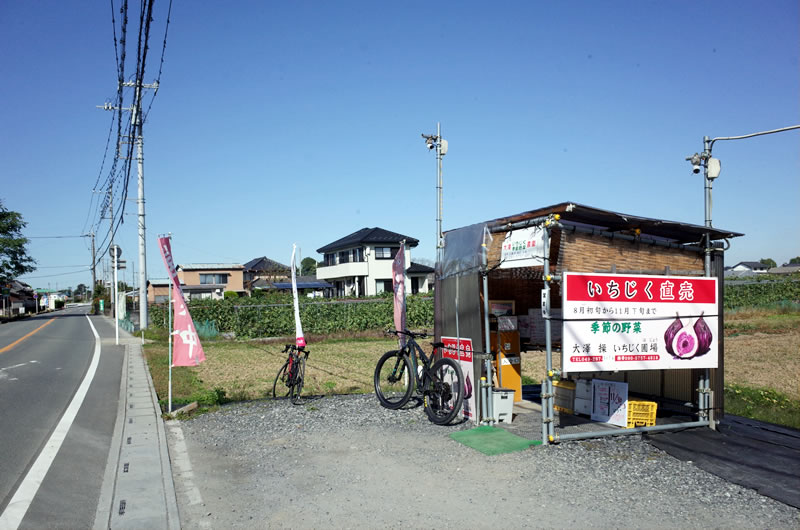 川島町に来たら、いちぢくの販売所も見逃せない！