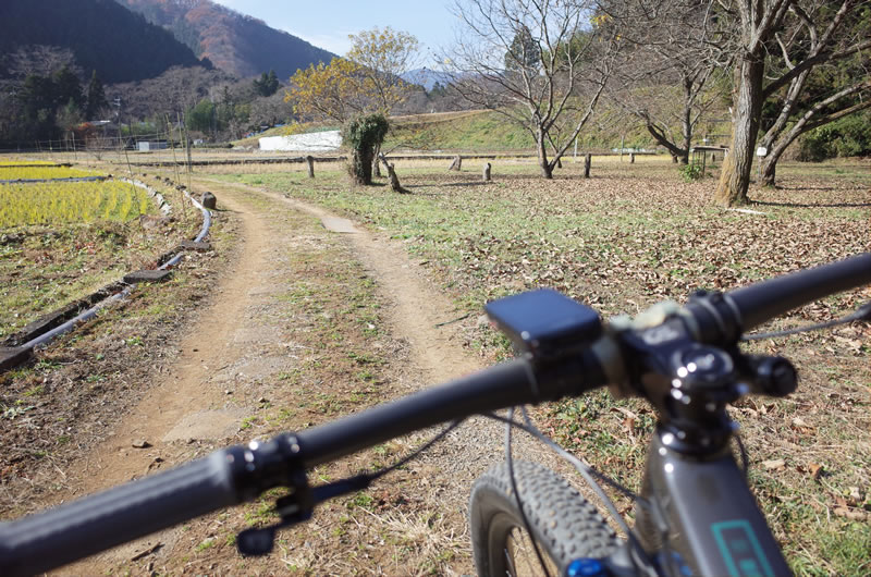 里山にちょこっとだけ足を踏み入れる