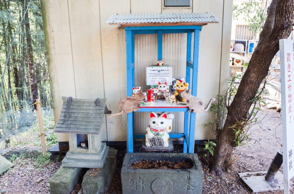 出雲伊波比神社は猫神社？