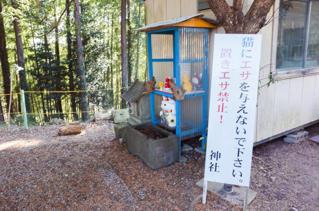 外猫にご飯を与えてはいけません