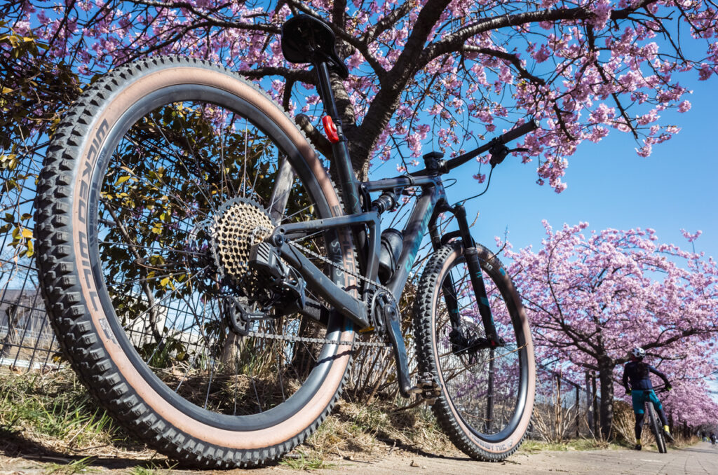 5月のJBCF王滝が終わったらMTB乗りまくろう(ﾟ∀ﾟ)