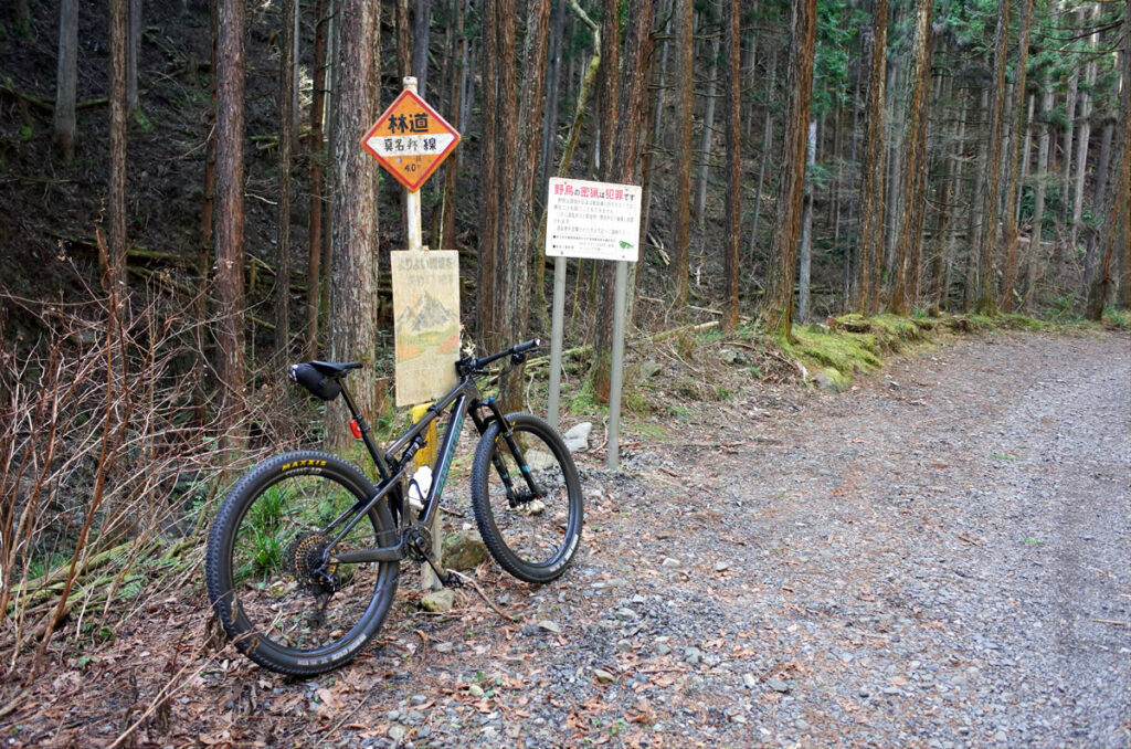 マウンテンバイクで林道真名井線を走ってみた！