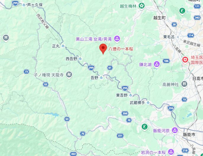 八徳（やっとく）の一本桜はココです