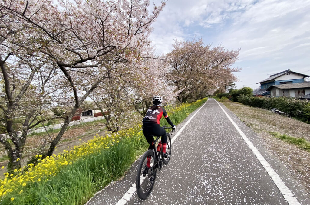 埼玉限定のファミレスを求めて荒川サイクリングロードを遡上