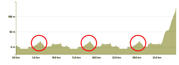 Team Dimension Data Zwift Academy Race: Climb (B)はヒルクライム？