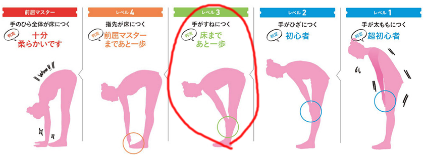 自分の前屈レベルを知ろう