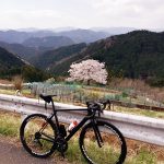 見事な一本桜とキャニオン・アルティメット