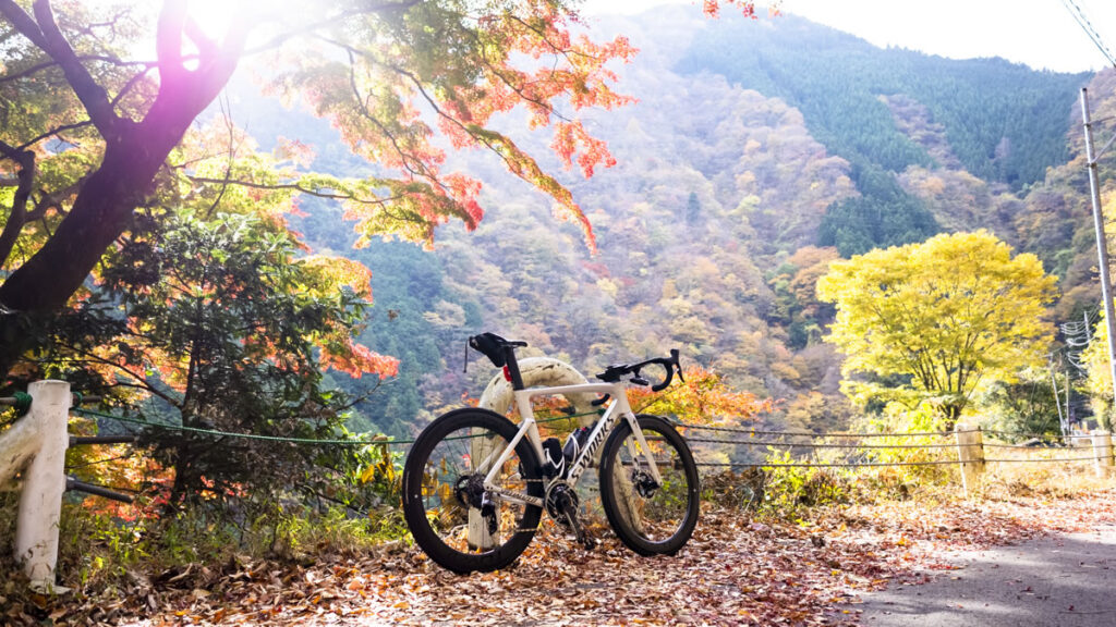 ロードバイクで東京の紅葉を味わいに