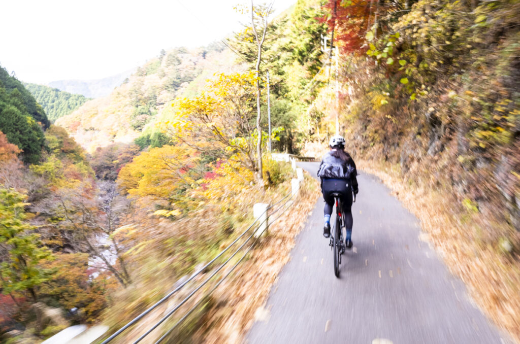 奥多摩の紅葉が見ごろ！