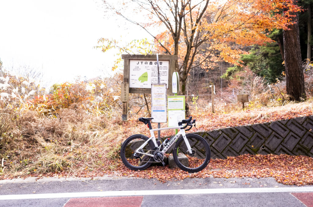 みんな大好き愛してやまない鶴峠