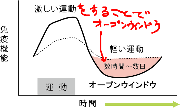 練習後に風邪ひきやすくなる現象には正式名称があります